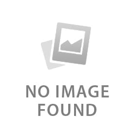 The Moonlight Never Falls