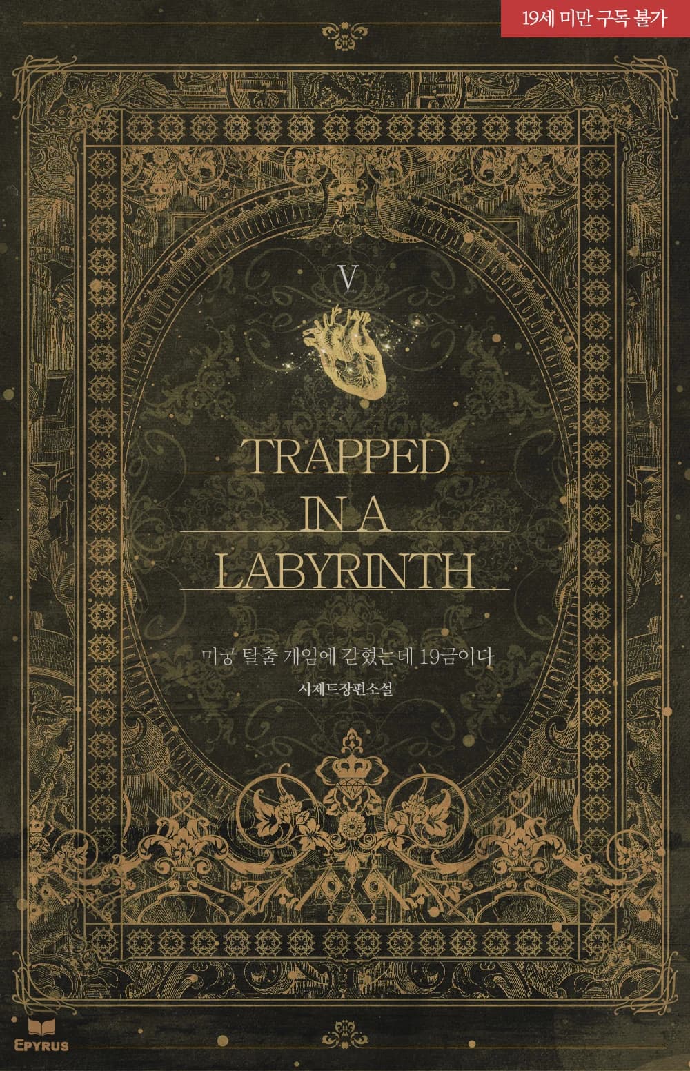 Trapped in a Labyrinth