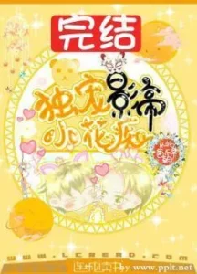 重生之独宠影帝小花痴