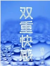 双重快感(高H)