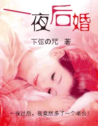 一夜后婚